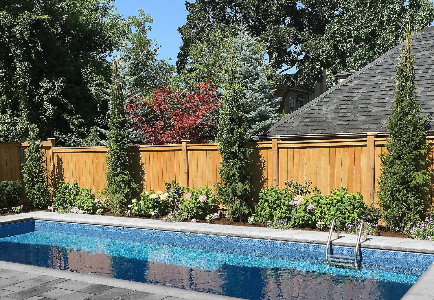 Poolside Privacy Planting