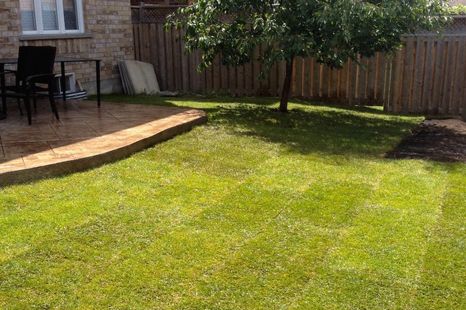 Backyard Reset after